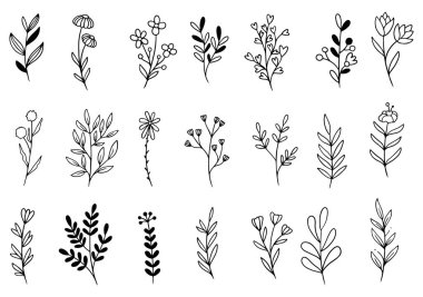 Orman eğreltiotu okaliptüsleri, sanat yaprakları, doğal bitkiler. Dekoratif güzellik tasarım için zarif bir illüstrasyon el çizimi çiçek