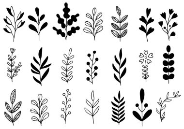 Orman eğreltiotu okaliptüsleri, sanat yaprakları, doğal bitkiler. Dekoratif güzellik tasarım için zarif bir illüstrasyon el çizimi çiçek