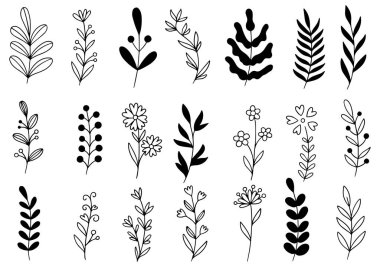 Orman eğreltiotu okaliptüsleri, sanat yaprakları, doğal bitkiler. Dekoratif güzellik tasarım için zarif bir illüstrasyon el çizimi çiçek