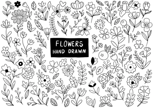 Mão Desenhado Flores Doodle Ornamentos Fundo Padrão Vetor Ilustração — Vetor de Stock