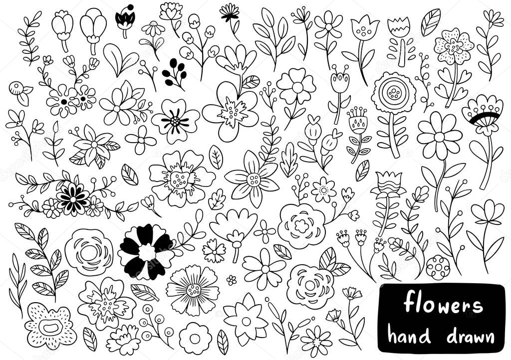 hand drawn flowers doodle Ornaments background pattern Vector illustration