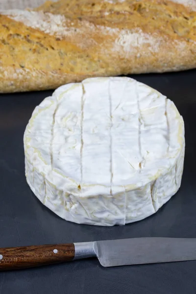 スレートとバゲットのカマンベール フランスチーズ — ストック写真