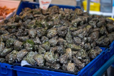 Bir markette kapalı istiridye.