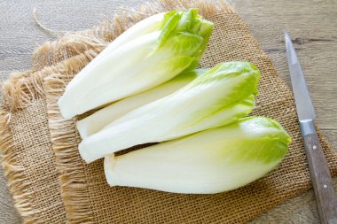 Tahtada hindiba var.