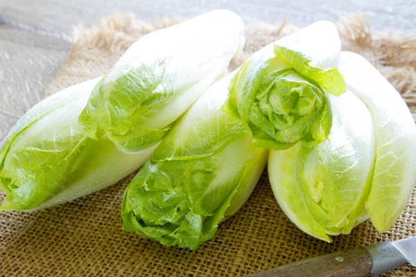 Endives Wooden Board — Stock Photo, Image