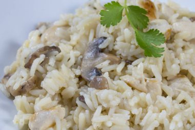 Bir tabak tavuk ve mantarlı pilav.