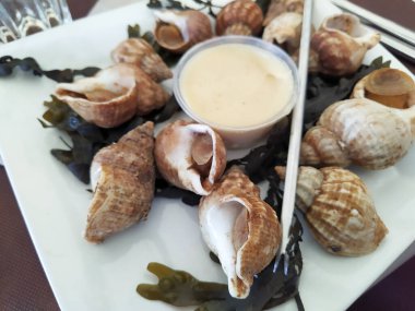 Salyangoz ve mayonez tabağı.