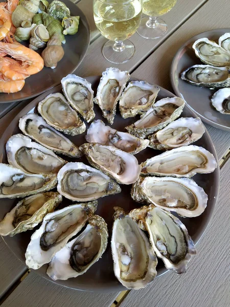oysters and shrimps with a glass of white wine