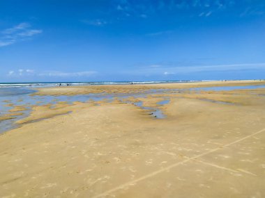 Charente-Maritime 'deki La Coubre deniz feneri (Fransa)