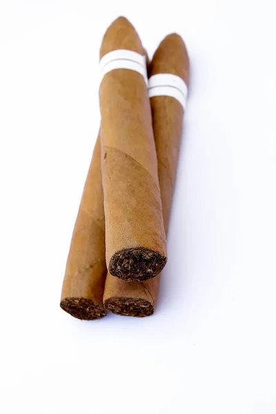 Several Cigars White Background — Stock Photo, Image