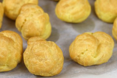 parça lahana bir kabın üzerine monte edilmiş.