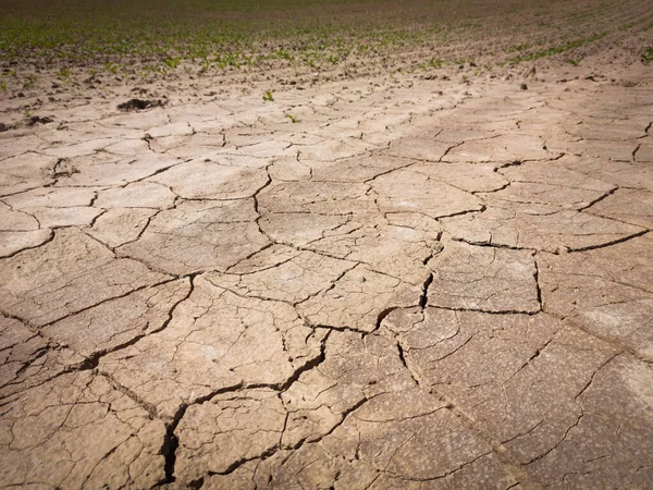 Tierras Agrícolas Áridas Verano — Foto de Stock