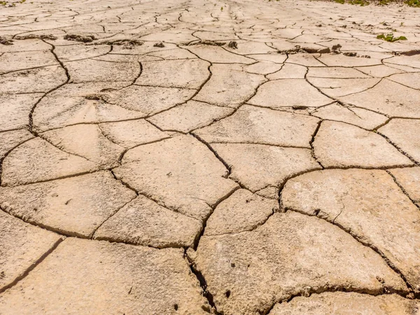 Arid Agricultural Land Summer — Stock Photo, Image