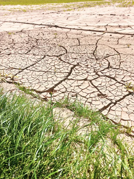 Arid Agricultural Land Summer — Stock Photo, Image