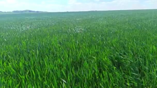 Paesaggio Campo Primavera Francia — Video Stock