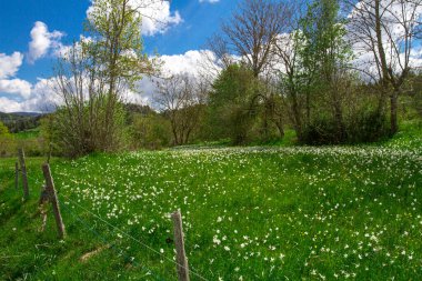 Fransa 'nın güneşli kırsal bölgeleri