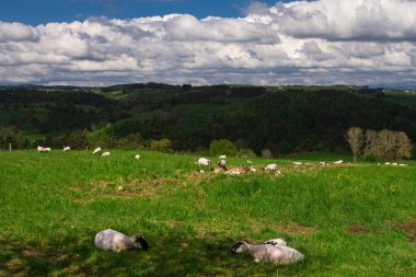 Fransa 'nın güneşli kırsal bölgeleri