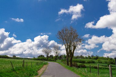 Fransa 'nın güneşli kırsal bölgeleri
