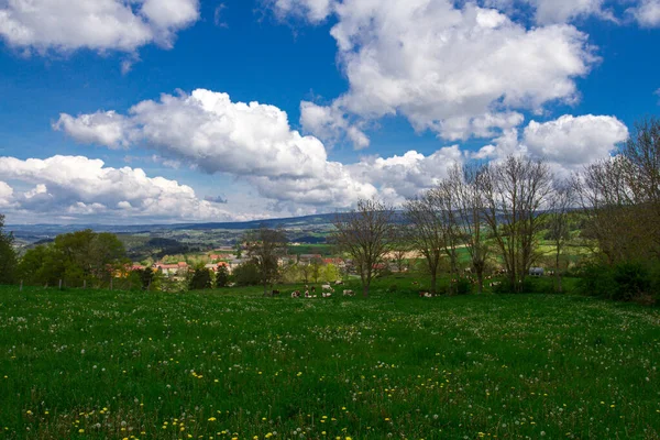 Paesaggio Campagna Soleggiato Francia — Foto Stock