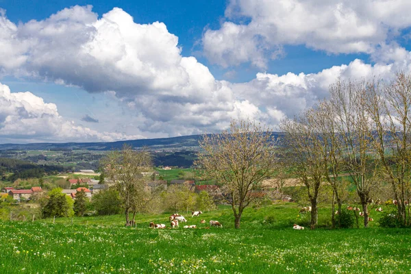 Paesaggio Campagna Soleggiato Francia — Foto Stock