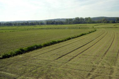 Baharda tarımsal alanda arka planda tepeler