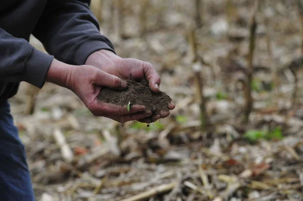 Agricultor Seu Campo Deixa Secar Terra Trickle Através Suas Mãos — Fotografia de Stock