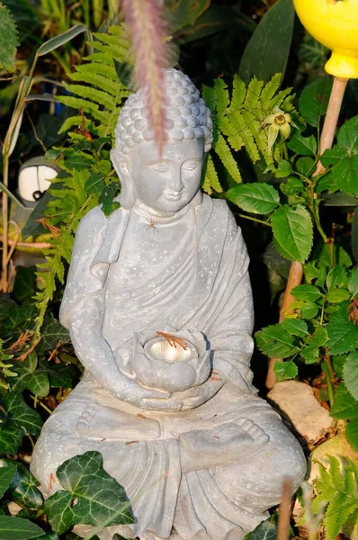 Siedzący Posąg Buddy Kamienia Zielonymi Roślinami Tle — Zdjęcie stockowe