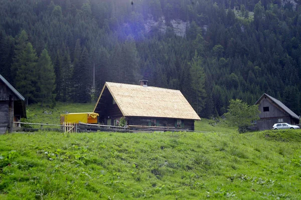 背景に緑の牧草地と森のある山の中の高山小屋 — ストック写真