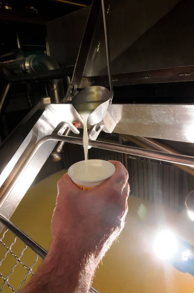 machine pouring fresh cow milk into cup hold by hand