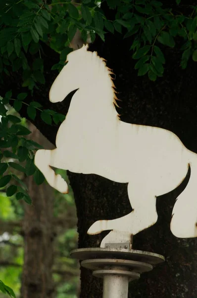 Blanco Lippizan Caballo Crianza Signo Delante Árbol — Foto de Stock