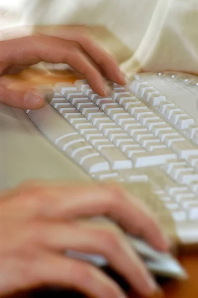 Person Typing Computer Keyboard Office — Stock Photo, Image