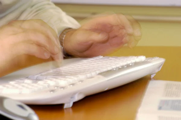 Person Typing Computer Keyboard Office — Stock Photo, Image