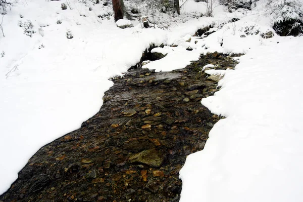 Potok Alpach Śnieżny Zimny Zimowy Dzień — Zdjęcie stockowe