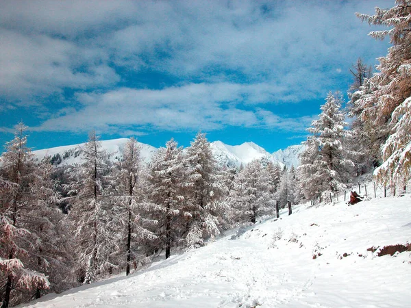 Śnieżny Krajobraz Alpach Mroźny Zimowy Dzień — Zdjęcie stockowe