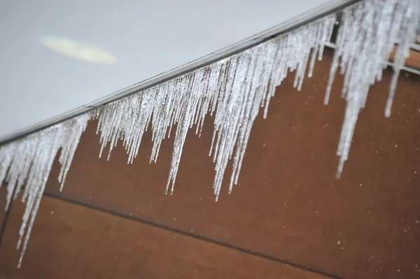 Jégcsapok Lógnak Ereszcsatornában Egy Hideg Téli Napon — Stock Fotó