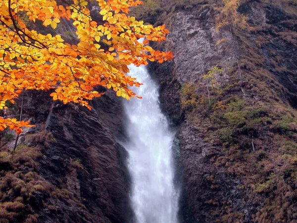 Vattenfall Skog Hösten Träd Med Färgglada Blad — Stockfoto