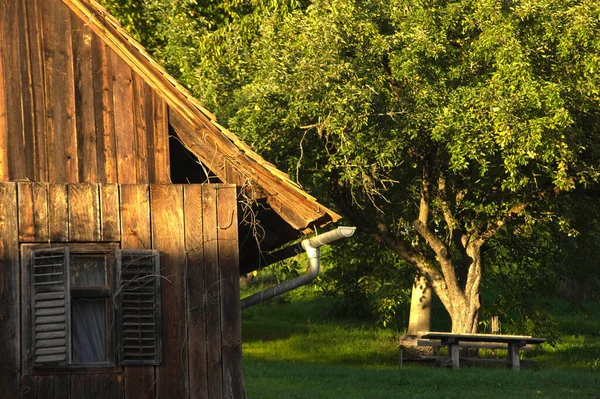 Mountain Hut Alps Meadow Tree Bench — Stock Photo, Image