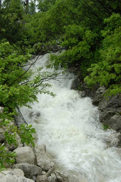 从山区的天然瀑布上落下来的水 — 图库照片