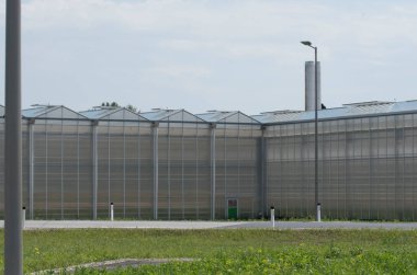 sebze ve çiçek yetiştiren bir sera, endüstriyel bitki üretimi