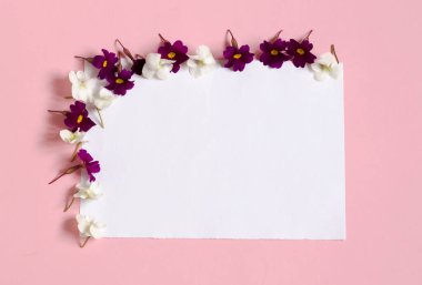Pembe arka planda beyaz bir kağıt parçası. Çiçek çerçevesi. Metnin için yeri olan çiçek arkaplanı.