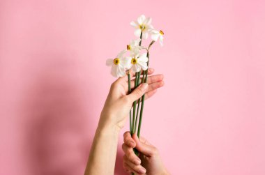 Genç bir kızın elindeki nergisler gibi. Pembe kağıtta çiçekli eller. Beyaz nergisler ellerinde..