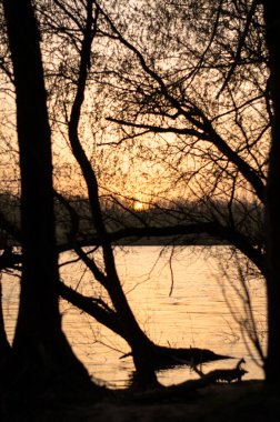 Nehrin üzerinde gün batımı. Güneş ağaçların arkasında batıyor..