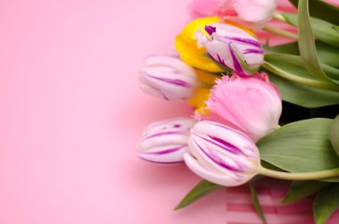 Çiçek arkaplan. Pembe arka planda bir buket lale. Çiçekler sağda. Metnin için yer bırak.