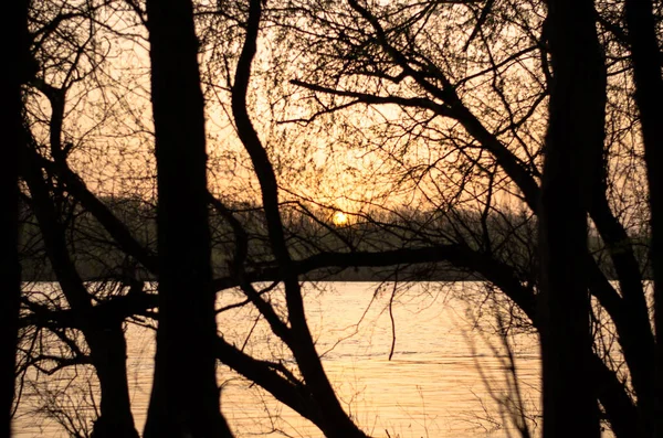 Sunset River Sun Sets Trees Natural Background — Stock Photo, Image