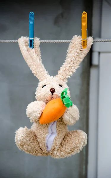 Cute toy rabbit with carrot in its legs is dried on a rope