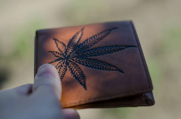 A man holds a wallet with a hemp leaf in his hands. The sun\'s rays on the wallet. Brown wallet in hand