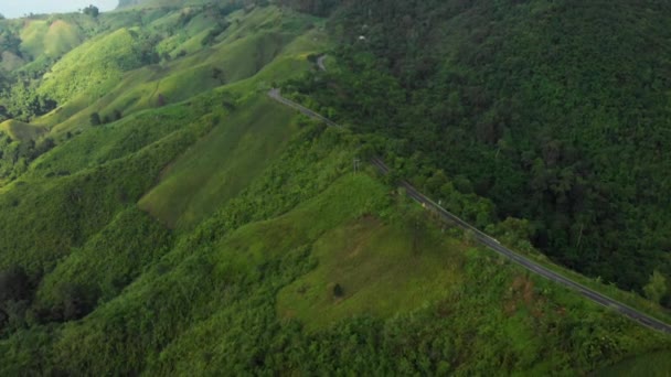 Oszałamiająca Droga Szczycie Ogromnej Góry Sezon Gorąca Pogoda Zielony Las — Wideo stockowe
