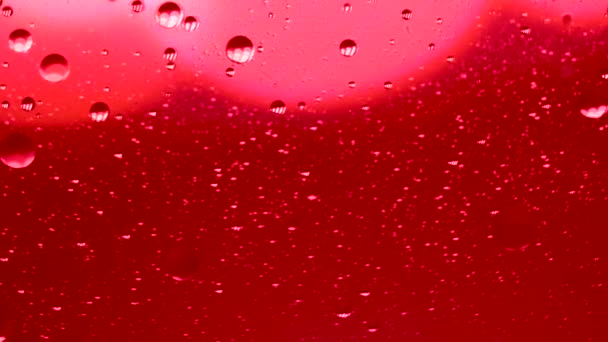 Красная Сфера Капли Масла Плавающие Поверхности Воды Абстрактный Фон Движение — стоковое видео