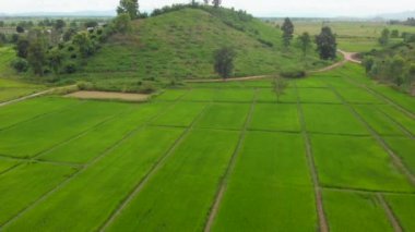 Dağ arkası, Tayland manzarası, tarım geleneği, tropikal hava sıcak ve nemli. Açık hava, yeşil renk, seyahat Asya, 