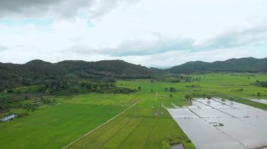 4k hava aracı yeşil tarım alanı ve bulutlu gökyüzü, Asya manzarası, kırsal çayır manzarası, Tayland pirinç dış tarım endüstrisi, çevre koruma kavramları, dağ sıraları